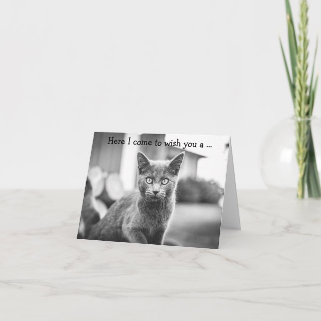 Bonne carte d'anniversaire : Chat gris (Devant)