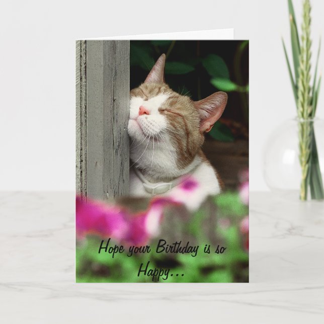 Bonne carte d'anniversaire de chats (Devant)