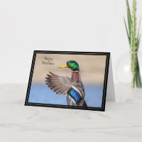Bonne carte d'anniversaire Mallard Duck