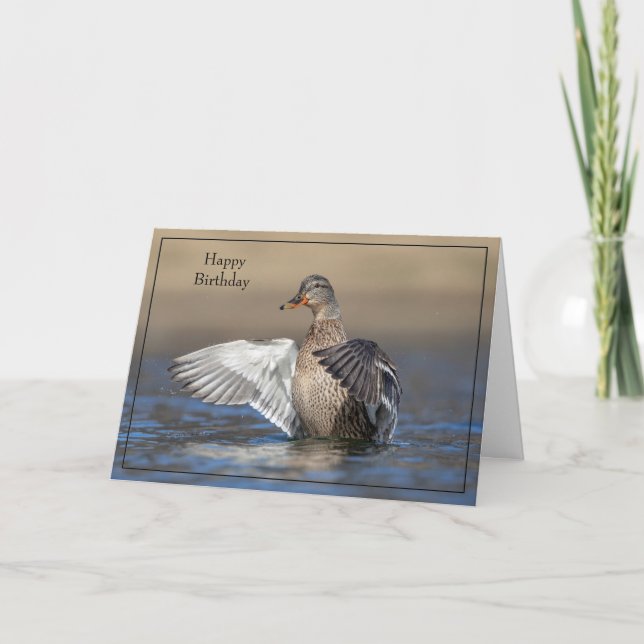 Bonne carte d'anniversaire Mallard Duck (Devant)
