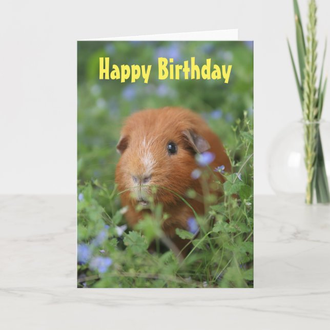 Bonne carte d'anniversaire mignon gingembre cobaye (Devant)