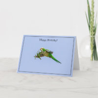 Bonne carte d'anniversaire Parakeet de moine