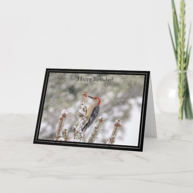 Bonne carte d'anniversaire Pic à ventre rouge (Devant)
