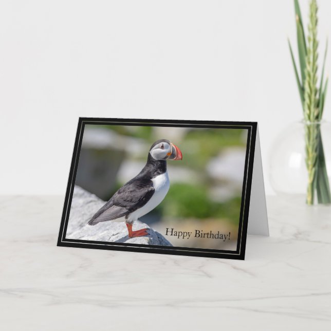 Bonne carte d'anniversaire Puffin Atlantique (Devant)