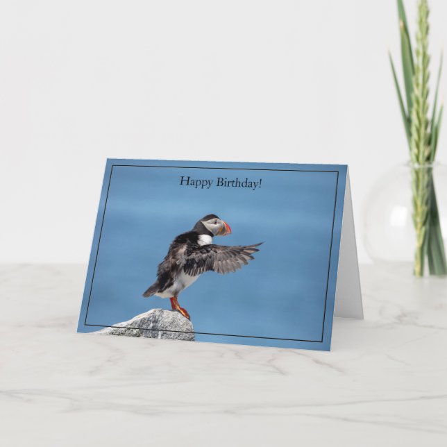 Bonne carte d'anniversaire Puffin Atlantique (Devant)