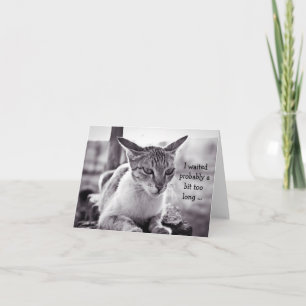 Bonne carte d'anniversaire (tardive) : Chat d'atte