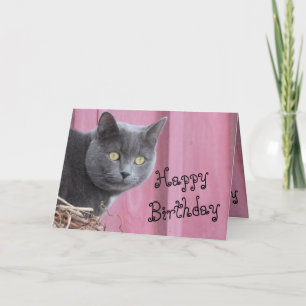 Bonne carte de chat Kitty Birthday