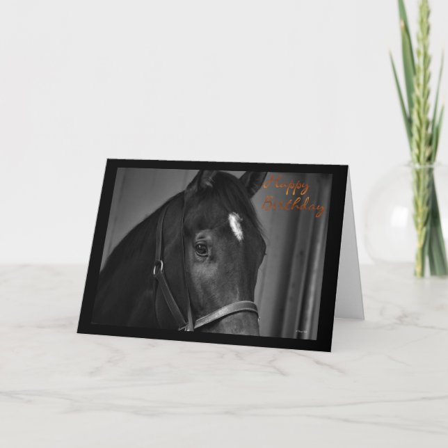 Bonne carte de cheval Anniversaire voeux Anniversa (Devant)