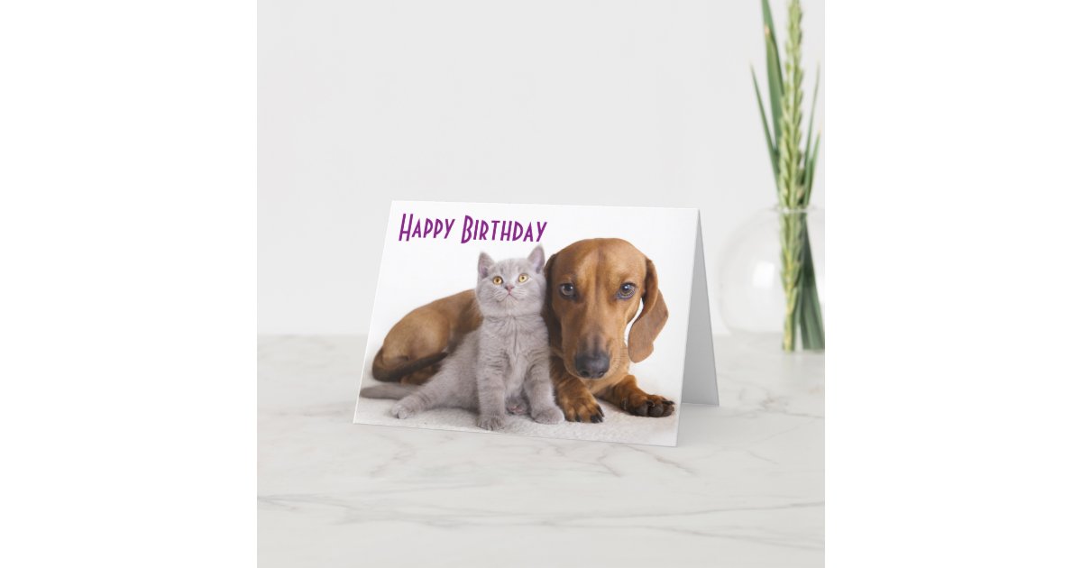 Bonne carte de Chien de Chien de Chien de Chien de Zazzle fr Bonne carte de Chien de Chien de Chien de Chien de Zazzle fr