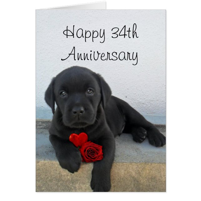 Bonne carte de chiot Labrador du 34e anniversaire (Devant)