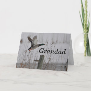 Bonne carte de grand anniversaire par Janz