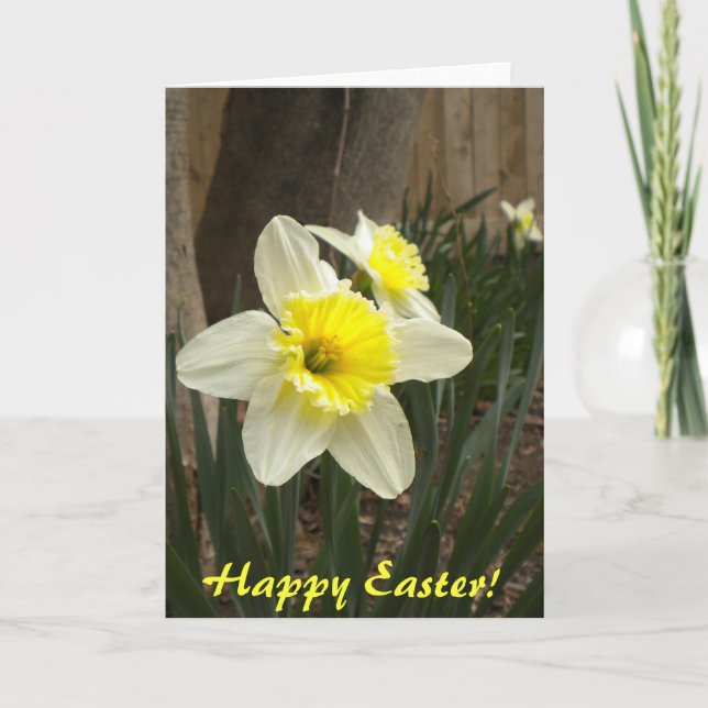 Bonne carte de jonquilles de Pâques (Devant)