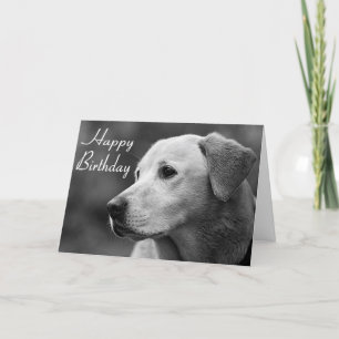 Bonne carte de marionnette d'anniversaire Labrador