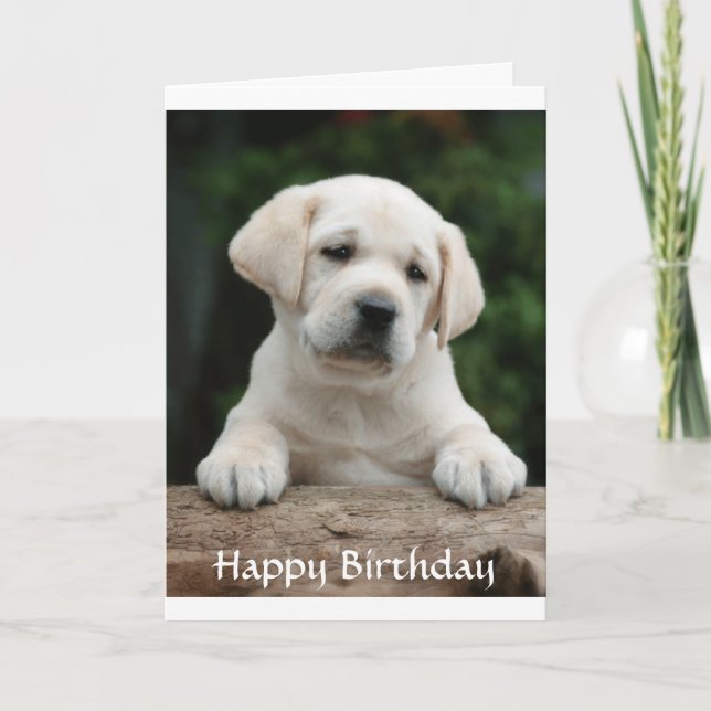 Bonne carte de marionnette d'anniversaire Labrador (Devant)