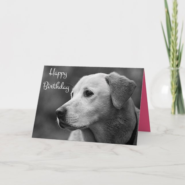 Bonne carte de marionnette d'anniversaire Labrador (Devant)