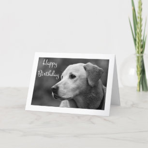 Bonne carte de marionnette d'anniversaire Labrador