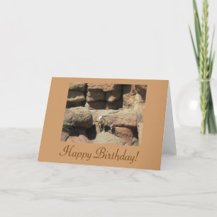 Bonne carte de mouton de Bighorn Birthday