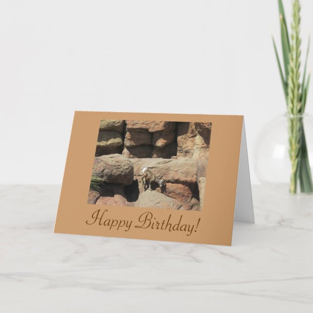 Bonne carte de mouton de Bighorn Birthday (Devant)
