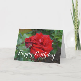 Bonne carte de Rose de bouquet Crimson Birthday #2