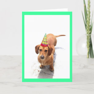 Bonne carte de voeux Anniversaire Dachshund