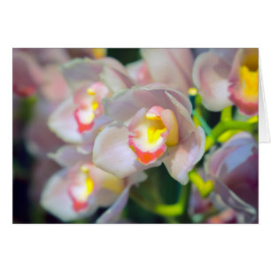 Bonne carte de voeux Anniversaire de Restyle Orchi