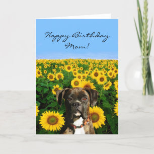 Bonne carte de voeux Birthday Mom Boxer