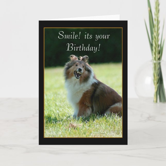 Bonne carte de voeux Birthday Shetland Sheepdog (Devant)