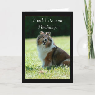 Bonne carte de voeux Birthday Shetland Sheepdog