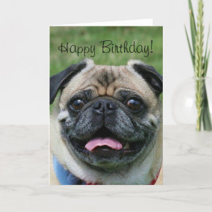 Bonne carte de voeux Carlin d'anniversaire