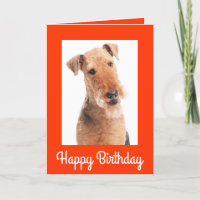 Bonne carte de voeux d'anniversaire Airedale Terri