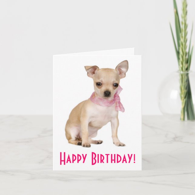 Bonne carte de voeux d'anniversaire Chihuahua Chio (Devant)