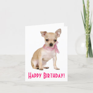 Bonne carte de voeux d'anniversaire Chihuahua Chio