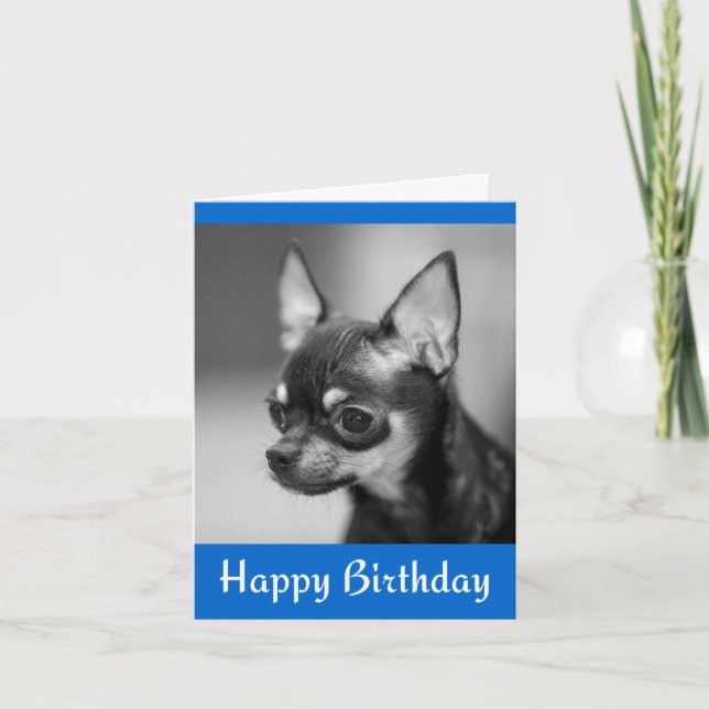 Bonne carte de voeux d'anniversaire Chihuahua Chio (Devant)