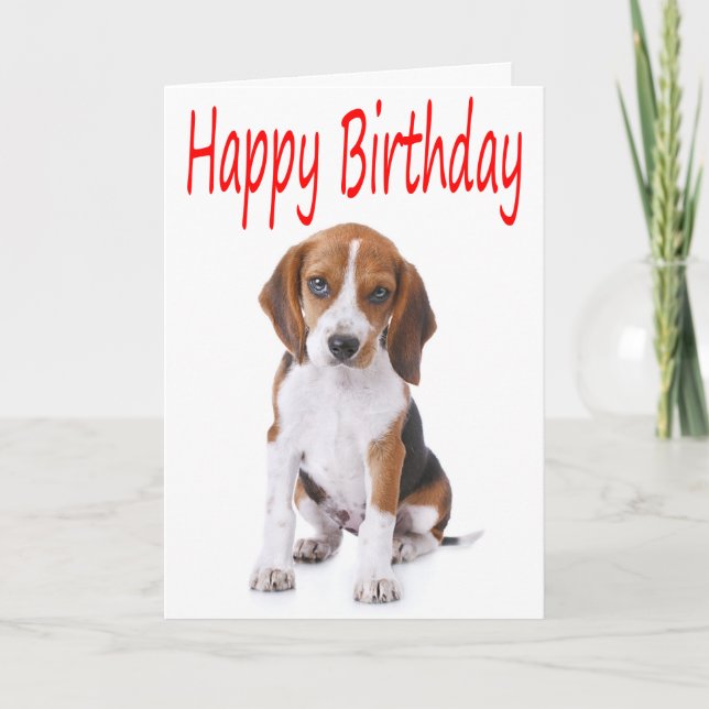 Bonne carte de voeux de Chien Chien Beagle d'anniv (Devant)