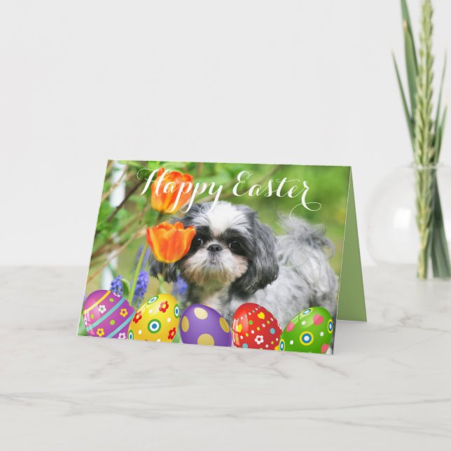 Bonne carte de voeux de Pâques Shih Tzu Girl (Devant)