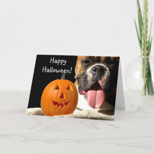 Bonne carte de voeux Halloween Boxer