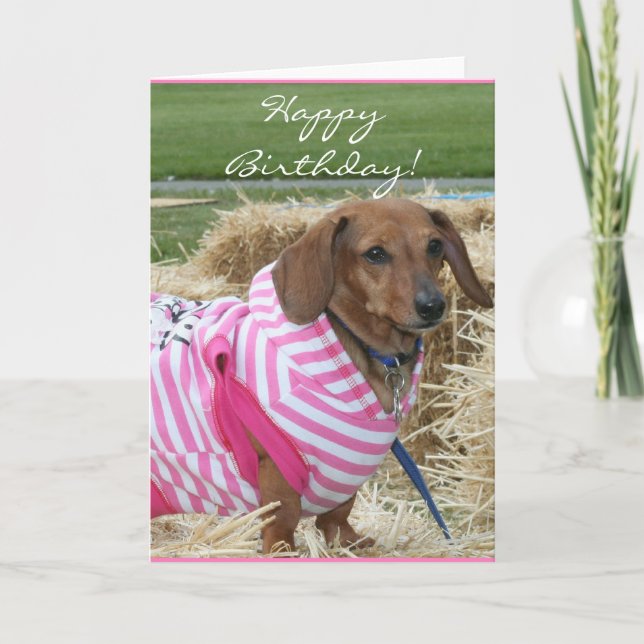 Bonne carte de voeux pour anniversaire Dachshund (Devant)