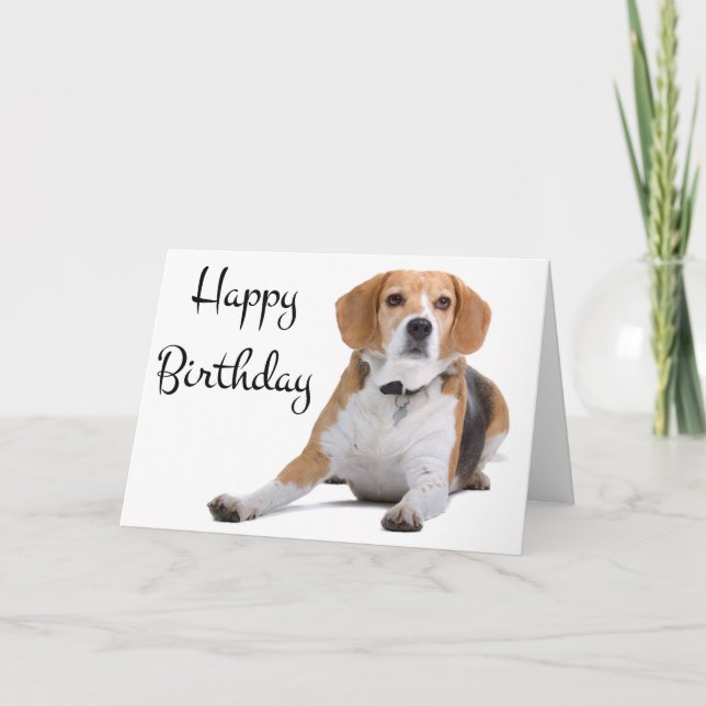 Bonne carte de voeux pour Beagle d'anniversaire Pu (Devant)