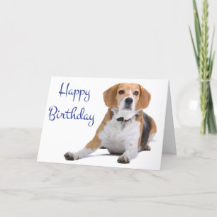 Bonne carte de voeux pour Beagle d'anniversaire Pu