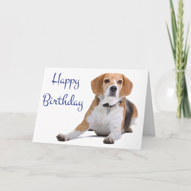 Bonne carte de voeux pour Beagle d'anniversaire Pu (Devant)
