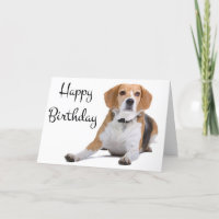 Bonne carte de voeux pour Beagle d'anniversaire Pu