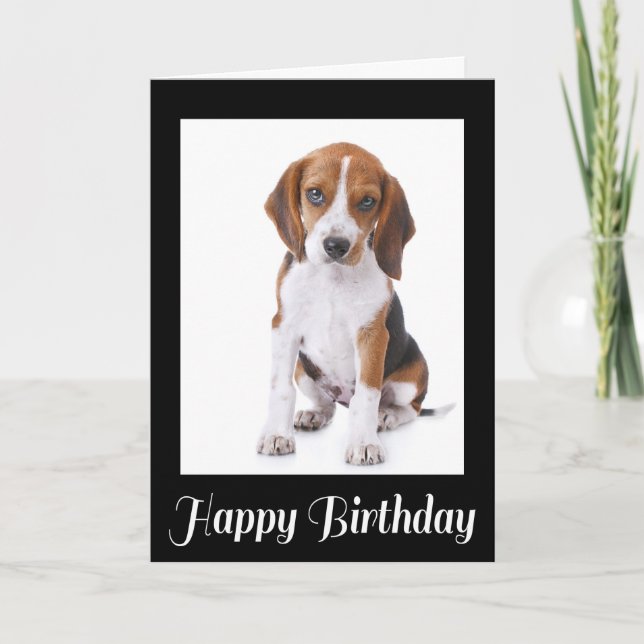 Bonne carte de voeux pour Beagle d'anniversaire Pu (Devant)