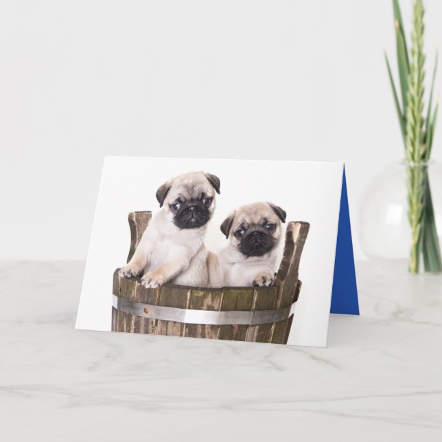 Bonne carte de voeux pour Carlin d'anniversaire Ch (Devant)