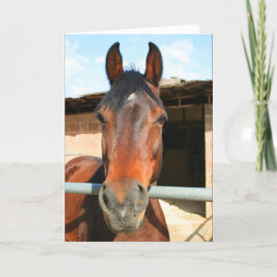 Bonne carte de voeux pour cheval d'anniversaire