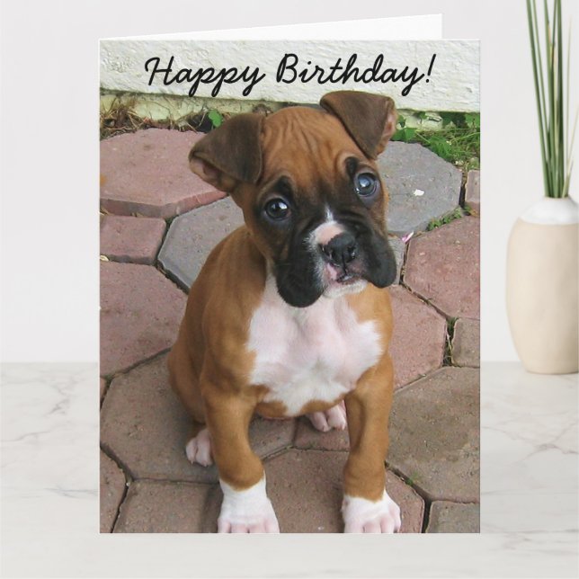 Bonne carte de voeux pour chiot Boxer anniversaire (Devant)