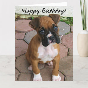 Bonne carte de voeux pour chiot Boxer anniversaire