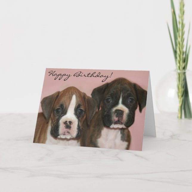 Bonne carte de voeux pour l'anniversaire Boxer Pup (Devant)