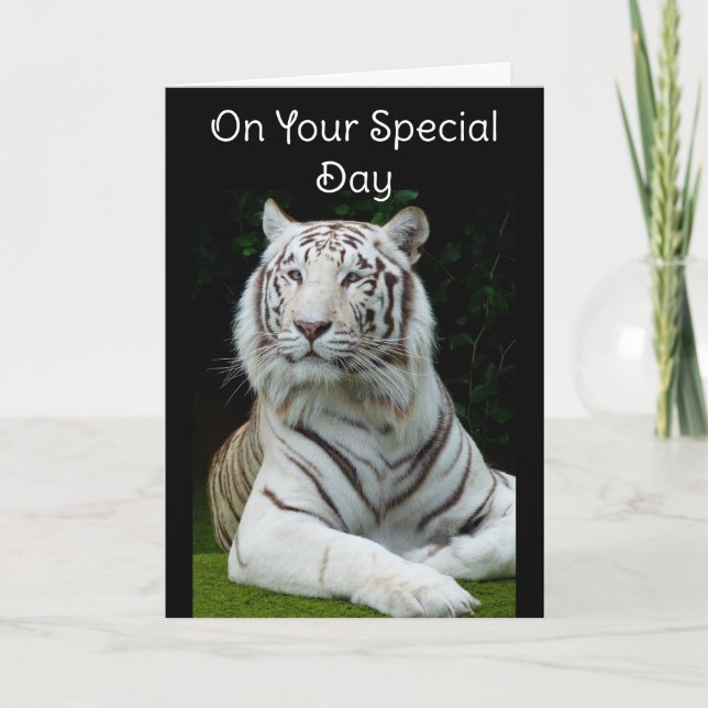 Bonne carte de voeux pour l'anniversaire de Tigre  (Devant)