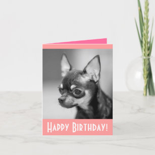 Cartes Chiwawa D Anniversaire Zazzle Fr