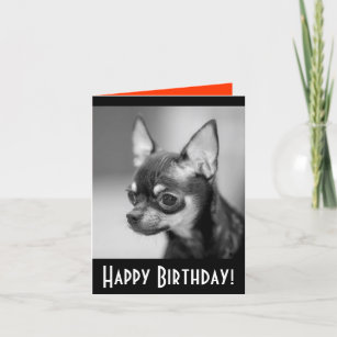 Cartes Chiwawa D Anniversaire Zazzle Fr